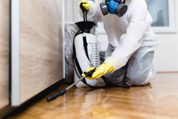 Best Pest Control Treatment  in Monahans, TX