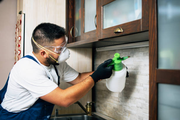Best Pest Control Near Me  in Monahans, TX
