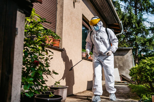 Best Pest Inspection Near Me  in Monahans, TX