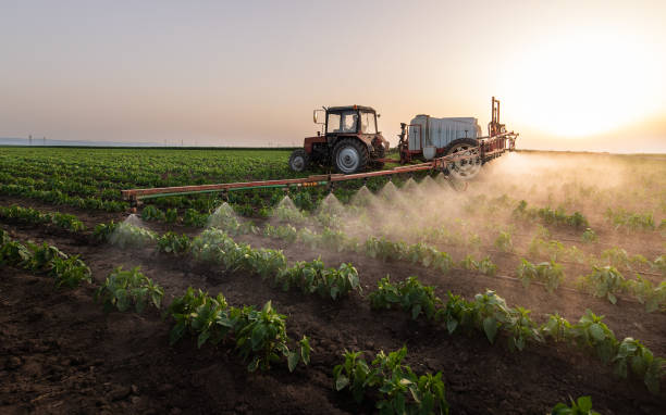 Professional Pest Control in Monahans, TX