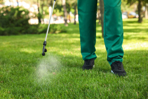Best Affordable Pest Control Services  in Monahans, TX