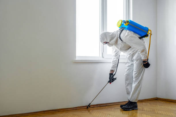 Best Wasp Removal Services  in Monahans, TX