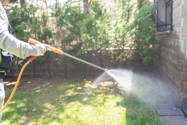 Best Mosquito Control Services  in Monahans, TX