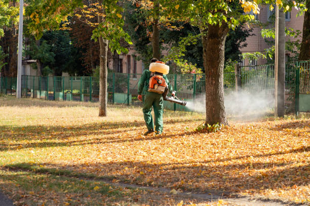 Best Best Pest Control Companies  in Monahans, TX