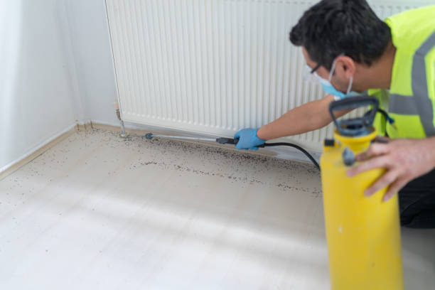 Best Bed Bug Extermination  in Monahans, TX