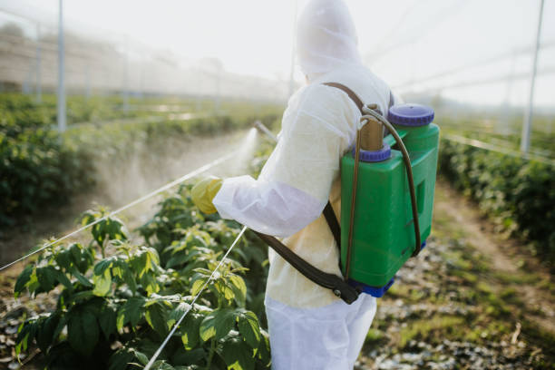 Best Flea Control Services  in Monahans, TX